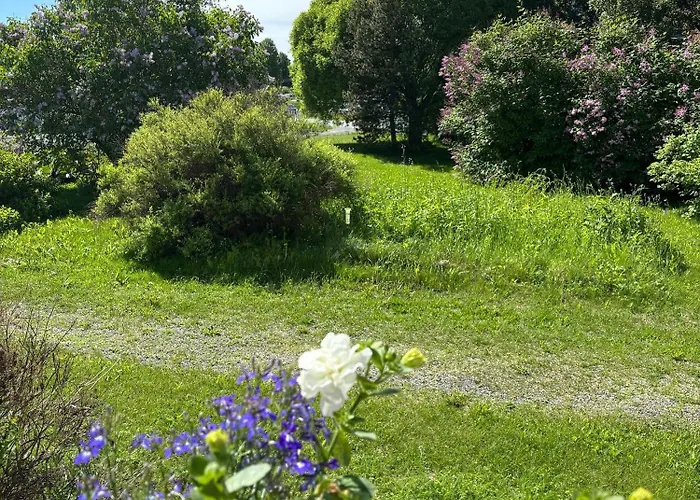 Interesting With Peaceful Environment Free Parking